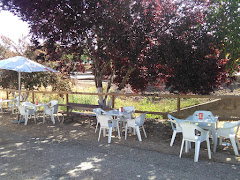 Restaurantes en El Ronquillo provincia de Sevilla