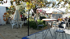 Bar Terraza Rafael