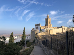 MEDINA SIDONIA