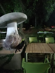 restaurante casa santos