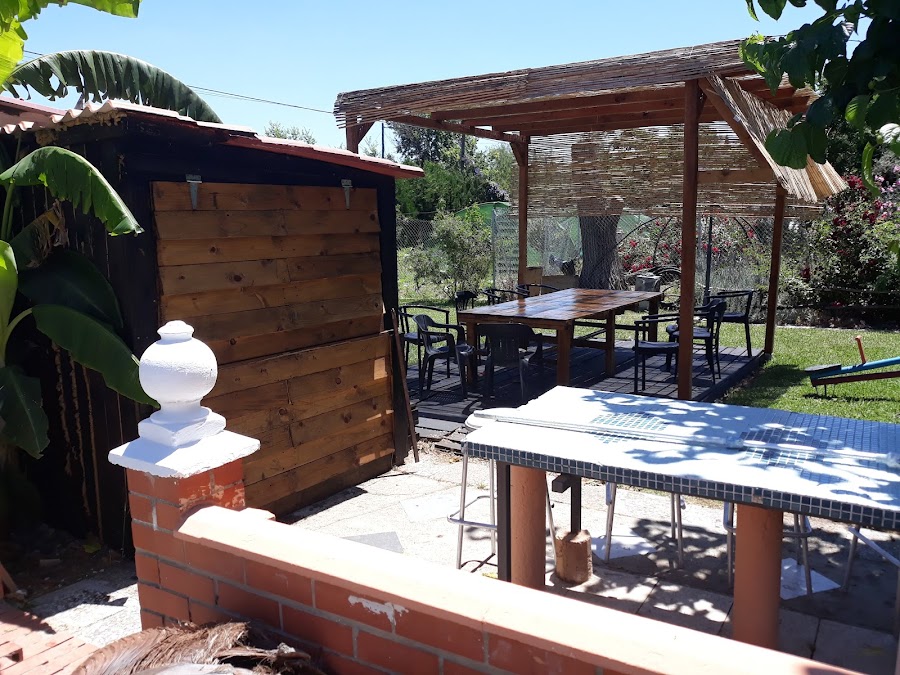 Bar Las Cañas
