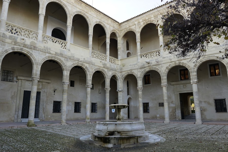 Castillo Palacio de los Ribera