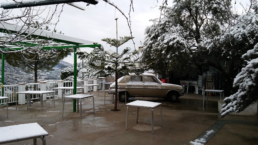 Venta Viña el Rubi